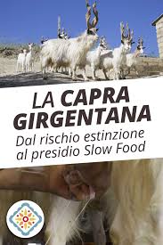Pin Su Guantiera Blog Valorizzazione Del Territorio