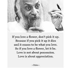 You have to understand the whole phenomenon—why you are so active, why so much occupation with activity. Security Check Required Brilliant Quote Osho Quotes Up Quotes