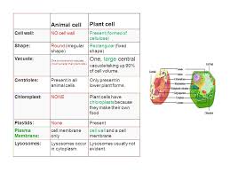 This is where the digestion of cell. Animal Cell And Plant Cell Characteristics Cell Facts All Living Things Are Composed Of Cells Cells Are The Basic Unit Of Structure And Function Of Ppt Download