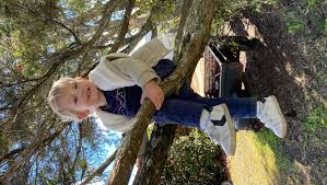 Fundraiser for Denika Thompson by Janaye Keinert : Help Huxsyn with his  Type 1 Diabetes diagnosis