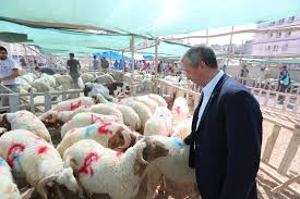Turkiye De Bir Ilk Gaziantep Haberleri