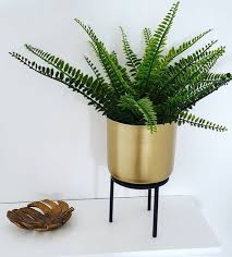 New The 10 Best Home Decor With Pictures Picked This Plant Pot Up Today From B M S For 4 Decor Interior Design Plastic Flower Pots Planter Pots Outdoor