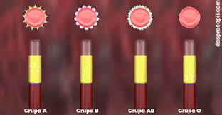 Grupa de sange 01 compatibilitate is important information accompanied by photo and hd pictures sourced from all websites in the world. Grupa Sanguina 0 Scade Sansele De A Avea Copii Desprecopii Com