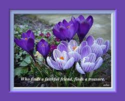We did not find results for: Beautiful Flowers With Friendship Quotes