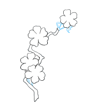 One single line drawing beauty fresh cherry vector. How To Draw Cherry Blossoms Really Easy Drawing Tutorial
