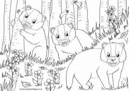 Free printable honey badger bunga coloring page in vector format, easy to print from any device and automatically fit any paper size. Badger Colouring Page