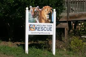 Jun 16, 2021 · animals asia is thrilled to announce the arrival of four moon bears to our vietnam sanctuary after being rescued from a circus in hanoi. Carolina Tiger Rescue Takes In Big Cats From Tiger King Park