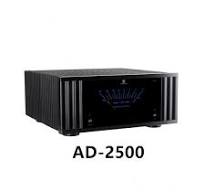 Chiny Tonewinner Custom 2.0 1000W monofoniczny potężny ...