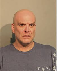 ᐅ Illinois Criminal Records 2009-2025