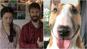 So basically we suggest you to consult a veterinarian until it is next to impossible.a vet has a comfortable place for your dog to go through the process and a preplanned way to remove the dead body. Nikki Phillippi And Husband Dan Face Severe Backlash For Putting Down Their Dog Bowser Instead Of Rehoming Him