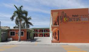 Add to wishlist add to compare share. Cactus Inn Los Cabos 43 4 8 Prices Hotel Reviews San Jose Del Cabo Tripadvisor