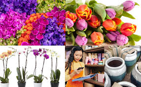Davie (zip 33328) jobs have increased by 1.9%. Field Of Flowers Wholesale Flowers By The Bunch Or By The Box