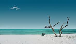 The pristine beaches and vibrant coral reefs are a make you mind relax. Vu7t Lakshadweep Islands News