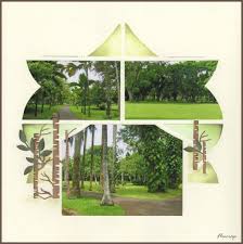 En Balade Dans Le Jardin Flopassionscrap En 2020 Scrapbooking Gabarit Azza Scrapbooking Azza