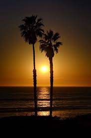 Pin By H On Beaches Tree Sunset Wallpaper Palm Tree Sunset Sunset Wallpaper