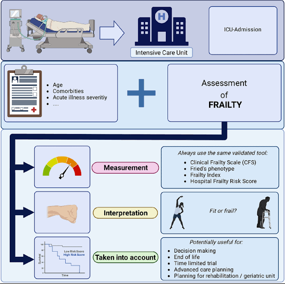 Frailty in intensive care medicine must be measured, interpreted and taken  into account! | Intensive Care Medicine | Springer Nature Link