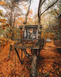 It S All About Coziness Cabins Camping Nature Tree House Canopy Design Cool House Designs