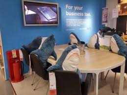 A Typical Day In The Life Of An Ikea Shark 8 Images Shark Meme Shark Plush Sharks Funny