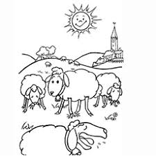 Color in this picture of a lamb and others with our library of online coloring pages. Top 25 Free Printable Sheep Coloring Pages Online