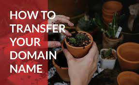 Transferring Domain Name Ownership Everything You Need To Know Domain Com Blog
