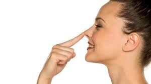 Cuáles son las únicas partes del cuerpo que nunca dejan de crecer?