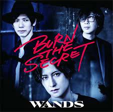 WANDS BURN THE SECRET First Limited Edition CD DVD Japan GZCD-5012  4523949094009 | eBay