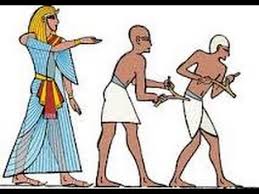 Resultado de imagem para radiestesia