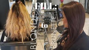 When dyeing blond hair brown, it's essential to take into account the lightness and shade of your blonde hair. How To Properly Fill Blonde Hair To Chocolate Brunette Youtube