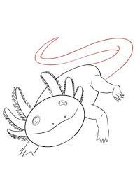 Nov 10, 2009 · r/aquariums: How To Draw An Axolotl Draw Central