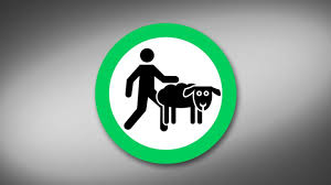 Yes, in Finland you can have sex with your pet | Yle