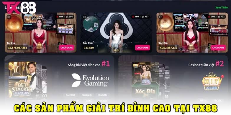 TX88 - Nhà Cái Cá Cược Thể Thao, Tài Xỉu, Live Casino Số 1