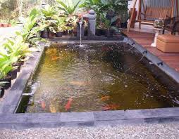 Dirangkum brilio.net dari berbagai sumber pada jumat. Kolam Minimalis Tukang Taman Kalimantan Art 082159942323