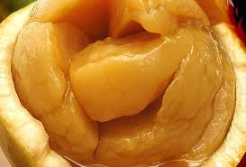 Image result for Strychnos cocculoides