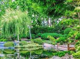 Japanese Gardens In Los Angeles And Where To Find Them