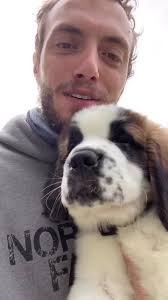 His name is Bentley #saintbernard #saintbernardpuppy #surprise #fyp #foryou  #foryoupage #puppylove #puppy