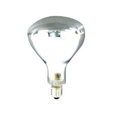 Bathroom Heat Lamp Bulb Bathroom Heat Lamp Heat Lamp Bulbs Lamp Bulb