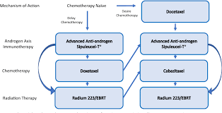 The nmcrpc algorithm suggests continued adt and monitoring for all patients, with consideration of treatment with apalutamide or enzalutamide for patients with … Castration Resistant Prostate Cancer An Algorithmic Approach Semantic Scholar