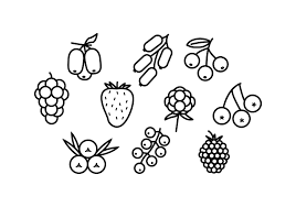 Free Berries Line Icon Vector Line Icon Vector Free Icon