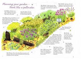 Plant A Garden Bee City Canada Pollinator Garden Pollinator Garden Design Bee Friendly Garden