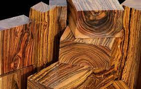 انواع الخشب ra2ed