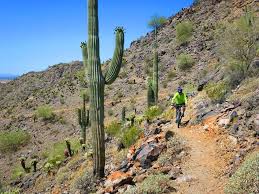 Informed rvers have rated 20 campgrounds near casa grande, arizona. Grand Loop Mountain Bike Trail Casa Grande Arizona