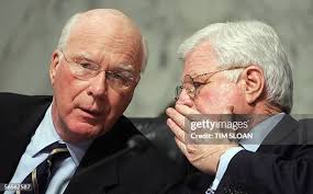 158 Tim Leahy Stock Photos, High-Res Pictures, and Images