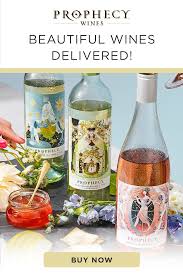 Save 5 On Your First Order Courtesy Of Drizly In 2020 Wine Bottle Design Wines Wine Brands