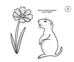 50 Coloriages Relaxants Nature Avec 24 Crayons De Mel Armstrong Album Livre Decitre