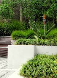 Pin On Seed Landscapes