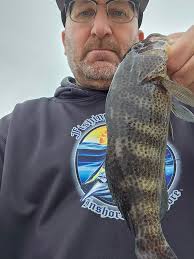 This pair works well! The bass