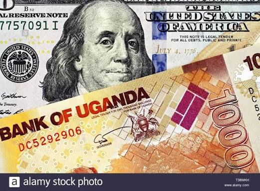 The currency has indeed appreciated for about 14 months. But ...
