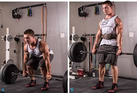 The Ultimate Weightlifting Belt Guide Bodybuilding Com