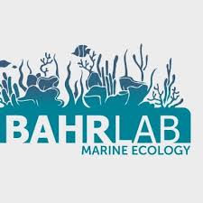 (at around 8 mins) the words spoken by the pilot on entering the camp are actually understandable for norwegians. Bahr Marine Ecology Lab On Twitter Happy Triviatuesday Y All This Week We Will Be Featuring Some Of Our Oyster Reef Ecologists So We Are Switching Up Our Normal Coral Trivia Content With