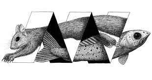 Regaiolli b, rizzo a, ottolini g, miletto petrazzini me, spiezio c and agrillo c (2019). I Draw Optical Illusions Featuring Different Animals Bored Panda